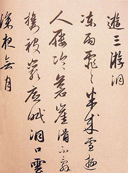 冻雨霏霏半成雪，游人屦冻苍苔滑