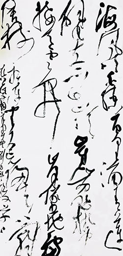 海风吹白练，百里涌青莲