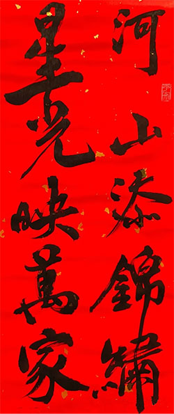 河山添锦绣，星光映万家