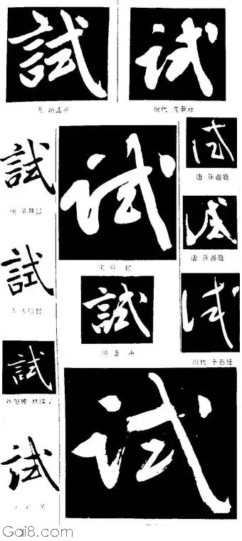 试字