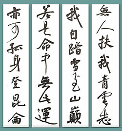 无人扶我青云志，我自踏雪至山巅