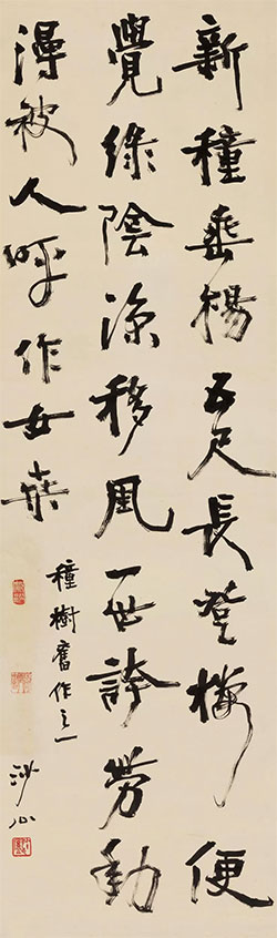 新种垂杨五尺长，登楼便觉绿阴凉