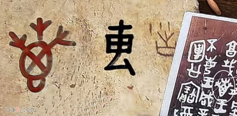 专 甲骨文