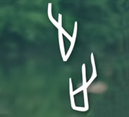 步