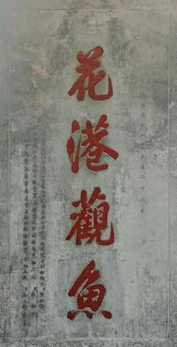 花港观鱼