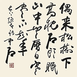 偶来松树下，高枕石头眠
