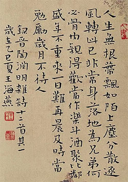 人生无根蒂