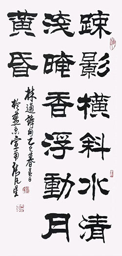 疏影横斜水清浅