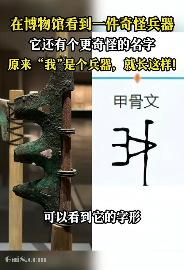我甲骨文