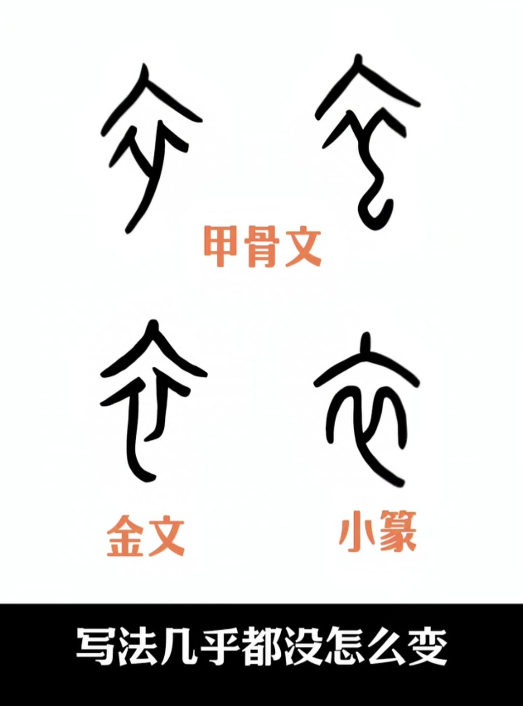 衣 甲骨文