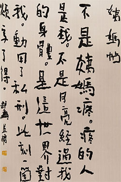姨妈贴