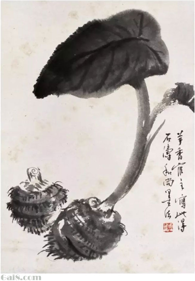芋头