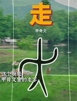 走