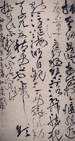 振衣千仞思悠悠，泰岱于今惬胜游